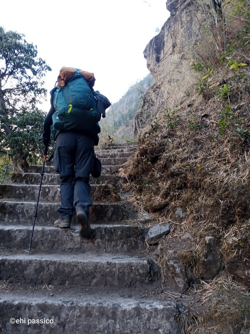 Lama Hotel to Syabrubesi: Climbing Down Continues