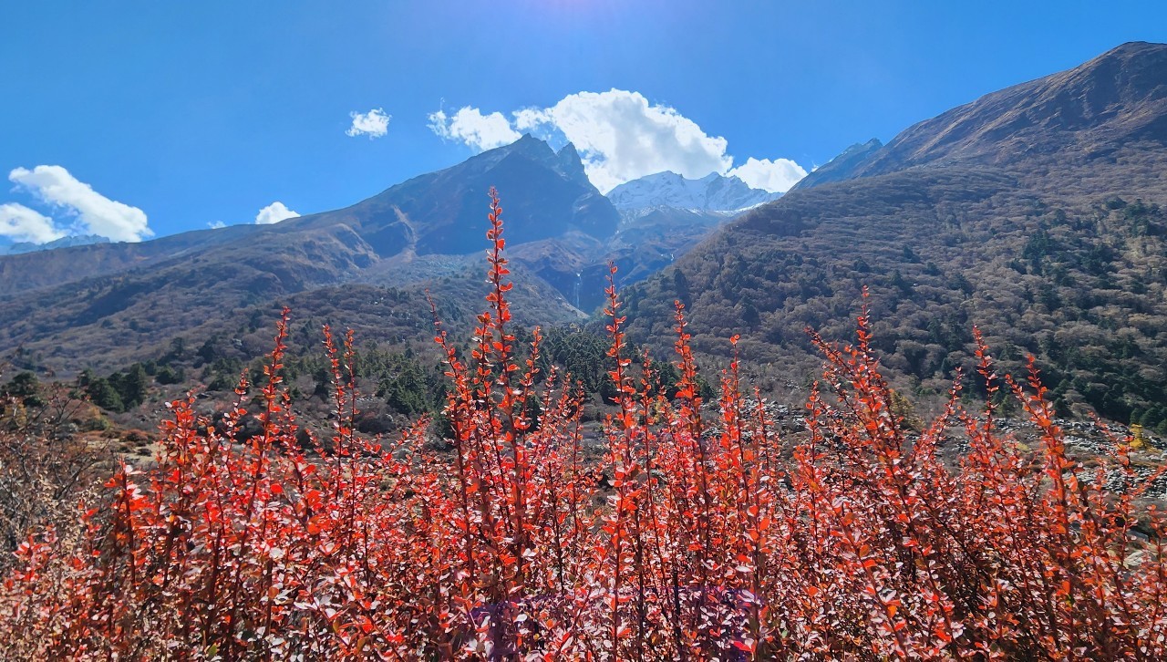 Mardi Himal Trek — Capture 4250m Ridgeline Perspective